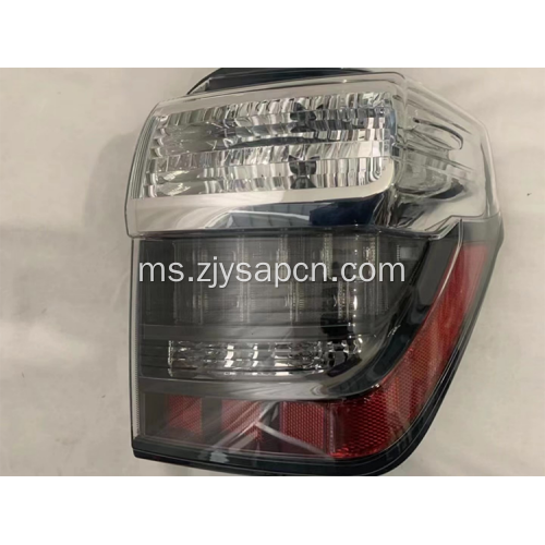 2010-2022 4Runner OE Taillights Tail Lamp Taillamp